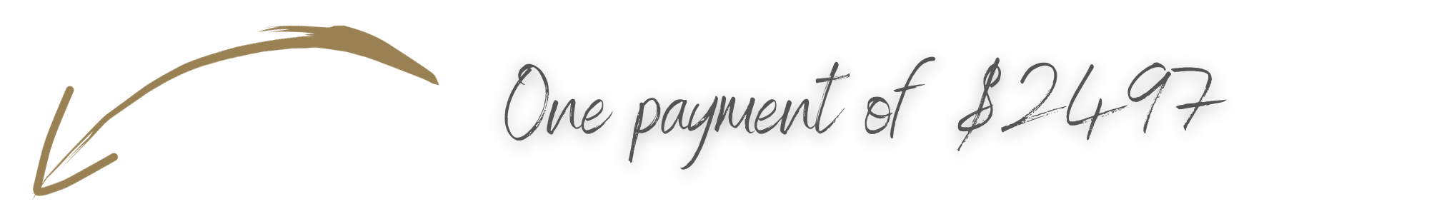 one payment level 1